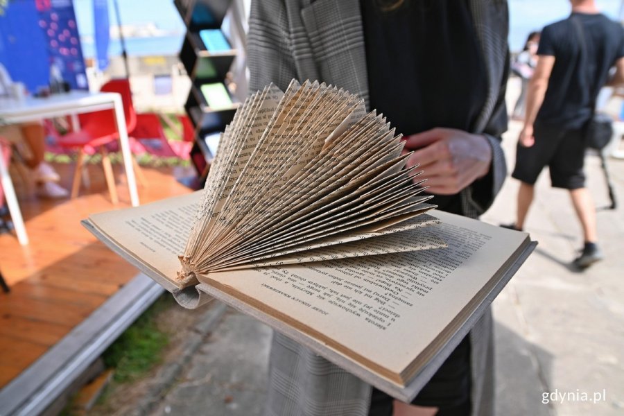 Książkowy jeż na Plenerze Literackim w Gdyni 