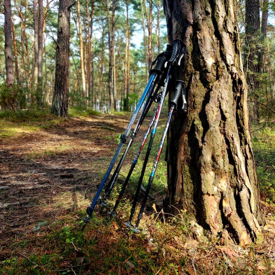 Kije do Nordic Walking.