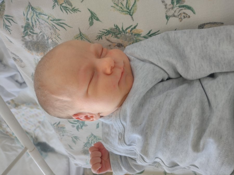 Alex, 56cm, 3230g, 13.06.23