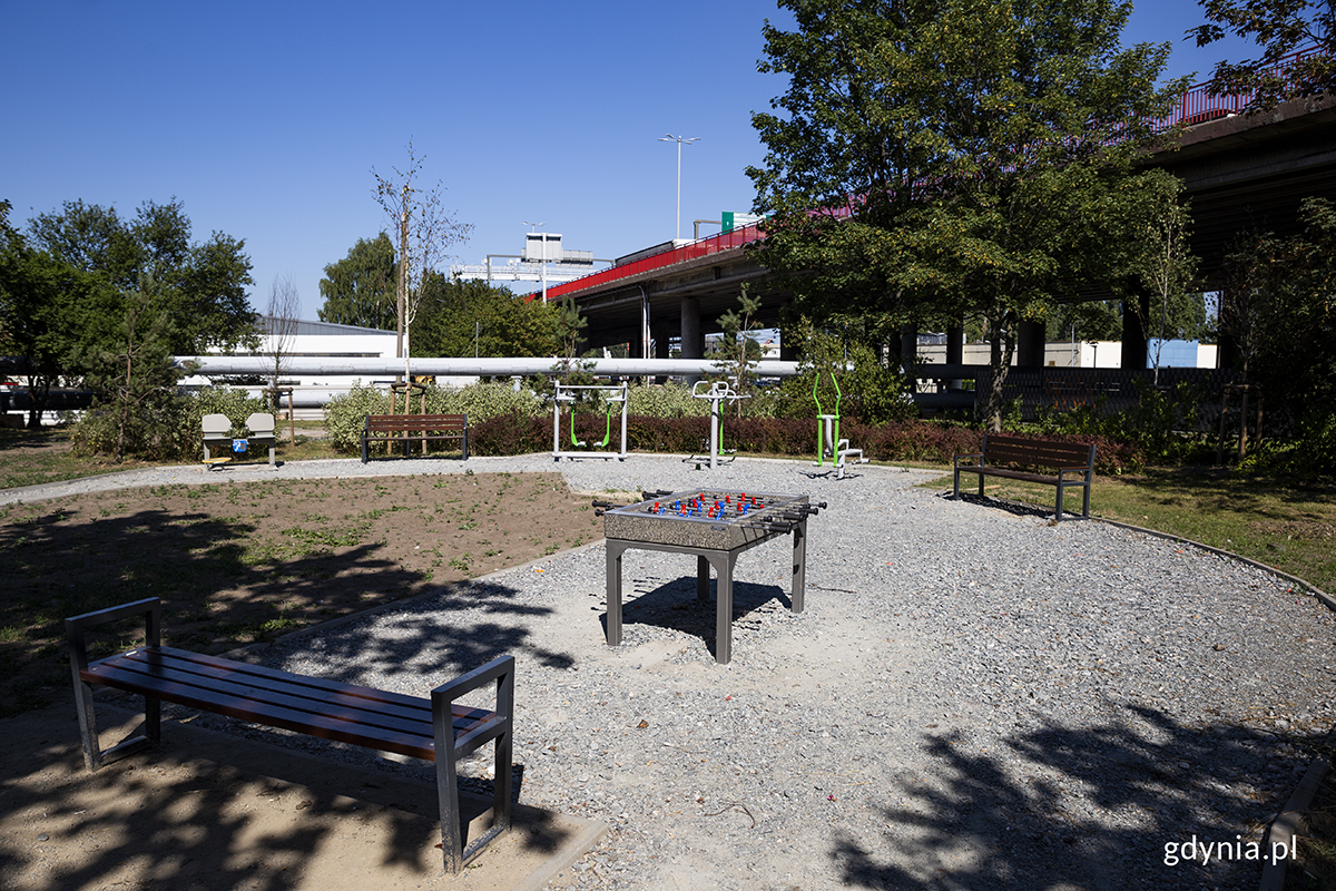 Park między ul. Dantyszka a estakadą Kwiatkowskiego z nową infrastrukturą. Fot. Przemysław Kozłowski 