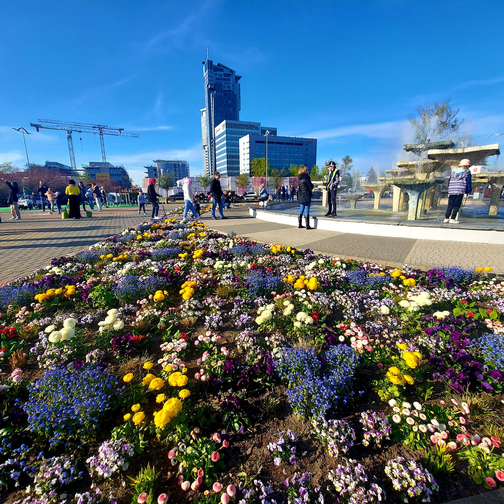 majówka gdynia