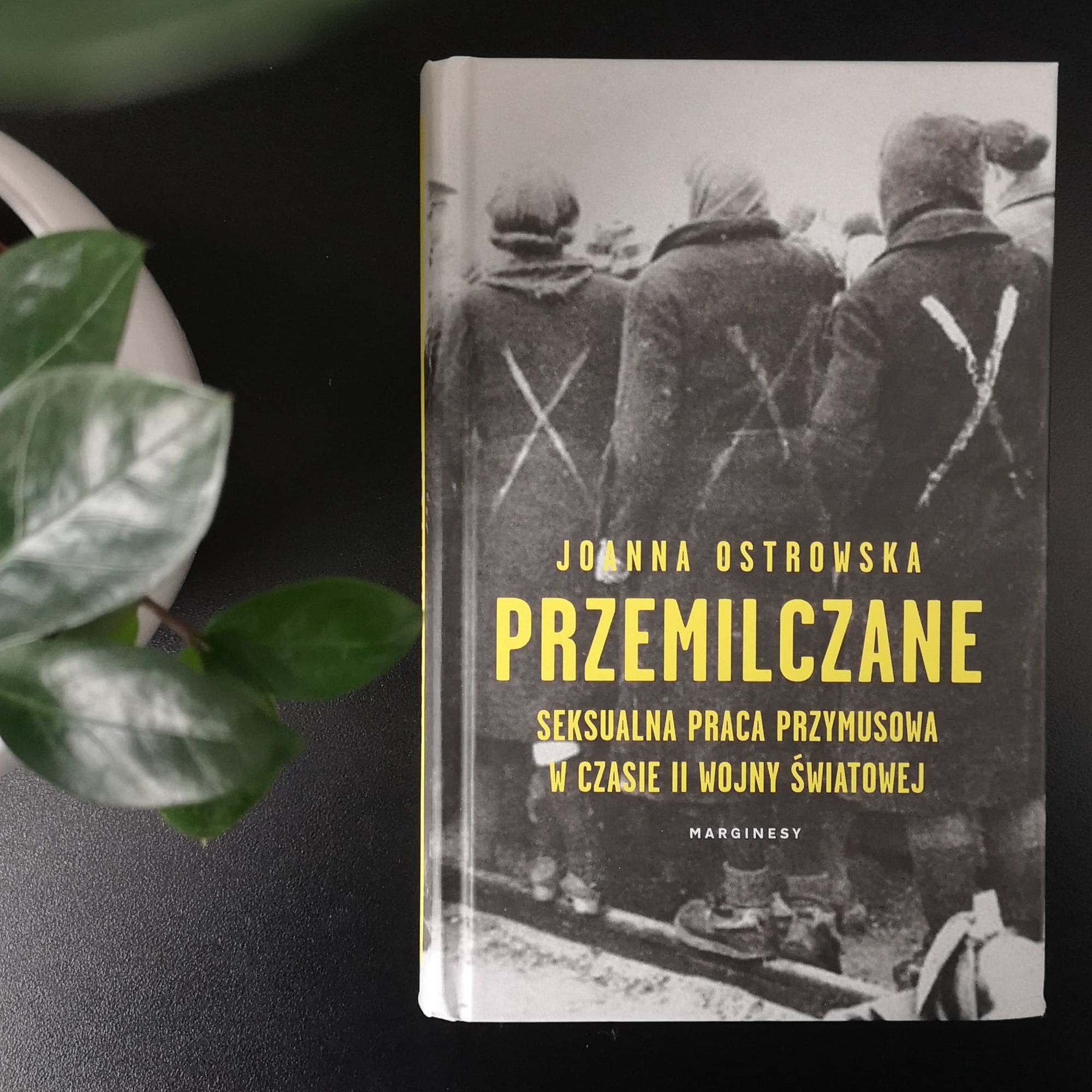 "Przemilczane" Joanny Ostrowskiej, fot. archiwum Biblioteki Gdynia