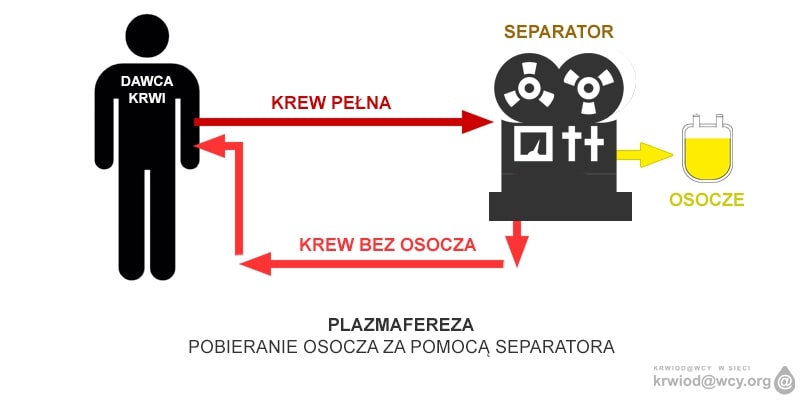 Grafika: pobieranie osocza za pomocą separatora. Mat. prasowe.